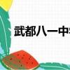 武都八一中學現任校長（武都八一中學）