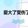 愛大了受傷了這首歌（愛大了受傷了歌詞）