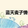 藍天麥子情侶裝特性（藍天麥子情侶裝）