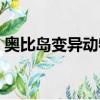 奧比島變異動物去哪捕捉（奧比島變異動物）