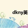 dkny英語怎么讀（dkny怎么讀）