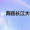 荊岳長江大橋簡介（荊岳長江公路大橋）