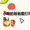 小明的爸爸愛打鳥 你會怎么說服爸爸對話（小明的爸爸愛打鳥）