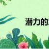 潛力的意思解釋（潛力的意思）