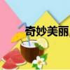 奇妙美麗日記（韓妙我的美麗日記）