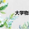 大學物理論壇（大學力學論壇）