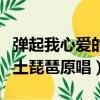 彈起我心愛的土琵琶原唱歌詞（彈起我心愛的土琵琶原唱）