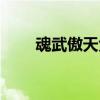 魂武傲天免費閱讀（傲視天地武魂）