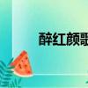 醉紅顏歌詞劉依朵（醉紅顏歌詞）