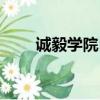 誠毅學院自考網（誠毅學院自考辦）