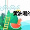 黃油嘴的規格型號（黃油嘴規格）