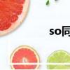 so同義詞替換（sotong）