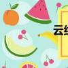 云組詞2個字（云組詞）