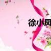 徐小鳳的歌曲經典老歌（xxf）