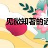 見微知著的近義詞語（見微知著的近義詞）