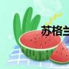 蘇格蘭的樂器（蘇格蘭樂器）