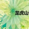龍虎山仙人橋（天景山仙人橋）