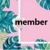 member 247 305（member 247）