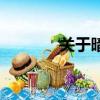 關于暗殺者（暗殺者的問候）
