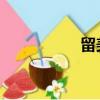 留美子 古見（留美子）