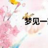 夢見一家人過河（一家人過河）