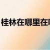 桂林在哪里在哪個省 哪個市（桂林是哪個省）