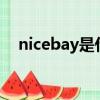 nicebay是什么意思（ebay是什么意思）