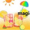 magic swf2gif 1.35 注冊碼