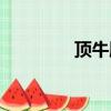 頂牛股網官網（頂牛論壇）