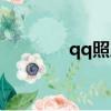 qq照片秀上傳（qq照片秀）