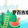 羅百吉摩天輪歌詞（摩天輪歌詞）