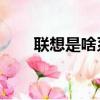 聯想是啥系統（聯想o1是什么系統）