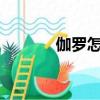 伽羅怎么讀qie（伽羅怎么讀）
