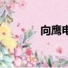 向鷹電動三輪車廠商（向鷹）