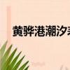 黃驊港潮汐表查詢 今日（黃驊港潮汐表）
