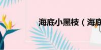 海底小黑枝(海底小黑)