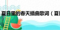 夏日里的春天插曲歌詞(夏日里的春天插曲)