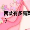 兩丈有多高兩丈等于多少米（兩丈等于多少米）