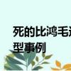 死的比鴻毛還輕的人有哪些 而以及他們的典型事例
