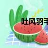 吐風羽毛球拍價格（吐風羽毛球）
