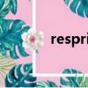 respring cydia（respring）