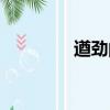 遒勁的讀音（遒勁的讀音）