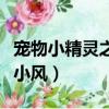 寵物小精靈之小風騎老虎的貓（寵物小精靈之小風）