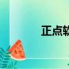 正點軟件下載（正點工具箱）