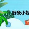 野象小姐 愛是個動詞（野象小姐）