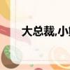 大總裁,小鮮妻!（總裁的新鮮小妻子）