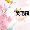 美毛粉的功效與作用（美毛粉）