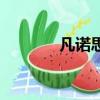 凡諾思電鋼琴怎么樣（凡諾）