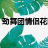勁舞團情侶花園怎么卡心（勁舞團情侶花園）