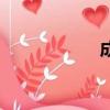 成喬斯微博（成喬）